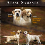 Screenshot-2023-06-26-at-23.06.48