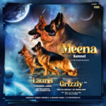 Screenshot-2023-06-27-at-00.27.37