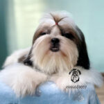 Screenshot-2023-07-03-at-23.44.18