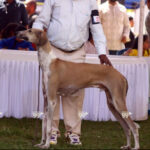 Screenshot-2023-07-07-at-00.41.09