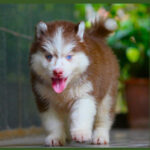 Screenshot-2023-07-09-at-14.51.49