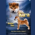 Screenshot-2023-07-11-at-00.45.11