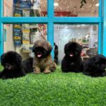 Screenshot-2025-05-09-at-18.23.40