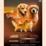 Screenshot-2026-03-16-at-12.13.59