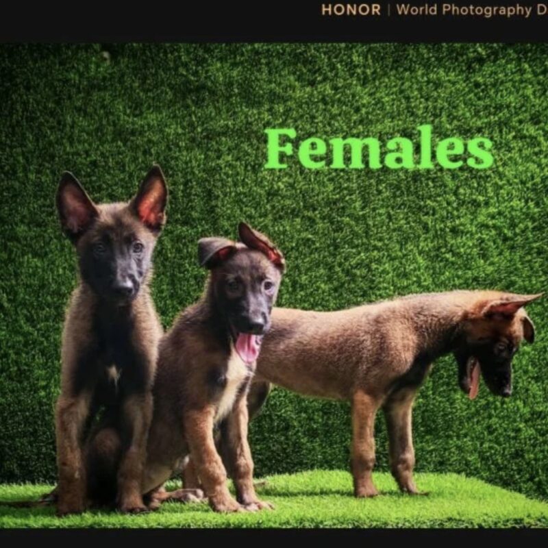 Screenshot-2025-09-13-at-15.21.40