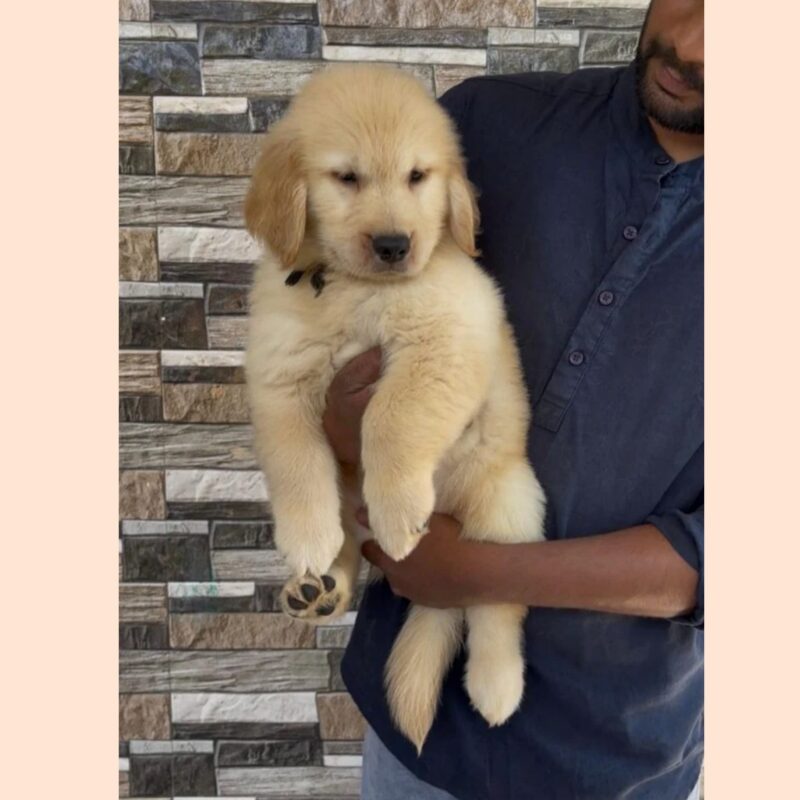 Screenshot-2026-03-16-at-12.14.13