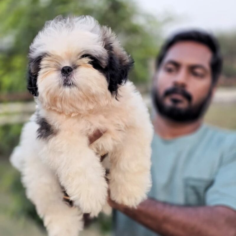 WhatsApp-Image-2025-05-05-at-3.59.24-PM